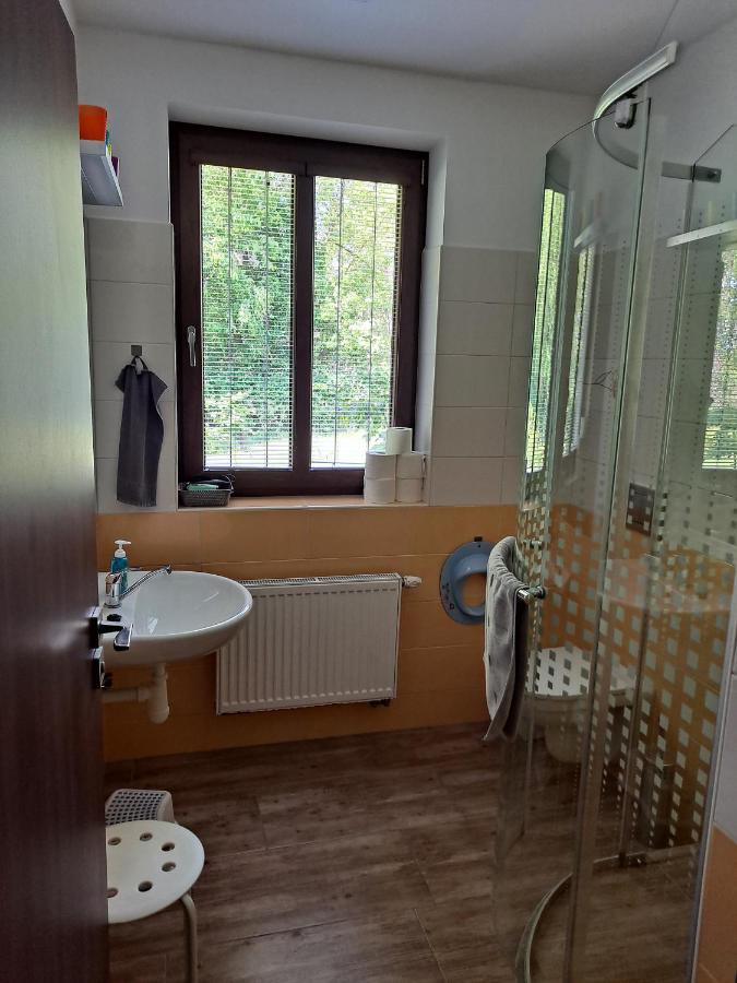 Penzion Na Pohoři Olešnice Esterno foto